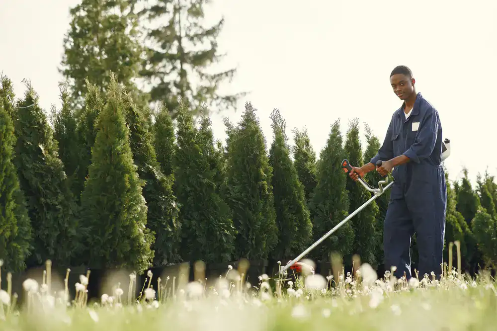 Professional gardener maintaining a pristine lawn